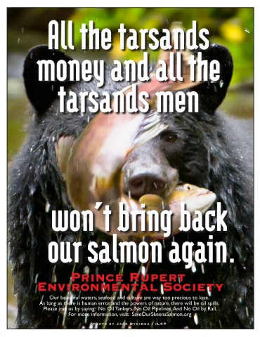 Bear-Salmon poster