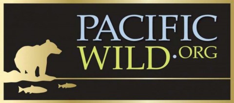Pacific_Wild_Initiative_Project_DF_-_Fillable_with_Logo_CMYK_Desktop_Resolution362113907_std.164134448_std